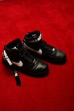 Nike Air Force 1 High Supreme World Famous Black (698696-010)