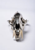 Parts of Four Leopard Skull (CR+B)
